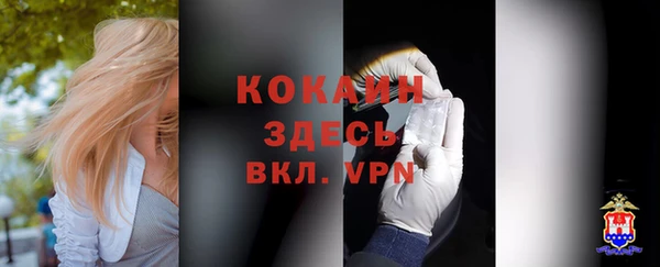 круглые Богородицк