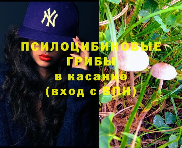 прущая мука Богданович