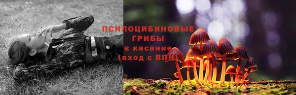 круглые Богородицк